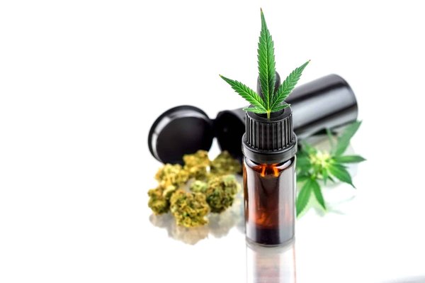 Comment tirer le meilleur parti des fleurs de chanvre pour un bien-être naturel ?