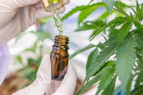 Guide d'achat pour les produits à base de cannabidiol en ligne