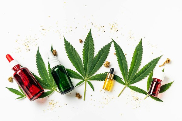 Huile de chanvre : bienfaits, types de produits, choix et cadre légal